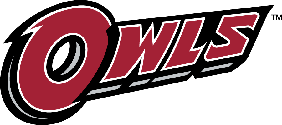 Temple Owls 2014-2020 Wordmark Logo iron on transfers for T-shirts